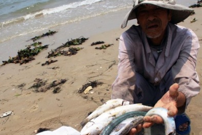 Tin mới vụ Formosa bồi thường: Đã chuyển đủ 500 triệu USD cho Việt Nam