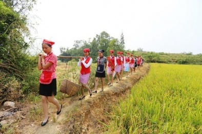 Loạt ảnh các nữ tiếp viên hàng không xinh đẹp lội ruộng, gặt lúa 'gây sốt'
