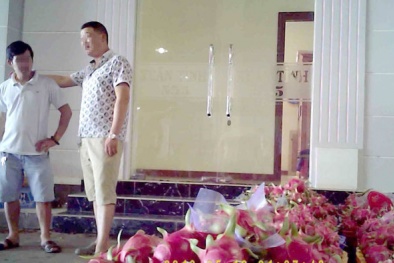 Thương lái Trung Quốc buôn thanh long người dân nên dè chừng