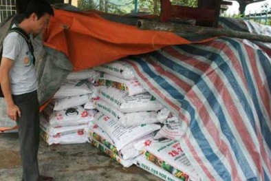 Những quy định mới nổi bật có hiệu lực từ tháng 9