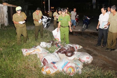 Rùng mình phát hiện 600kg tiết heo bốc mùi vô chủ tại quốc lộ 91