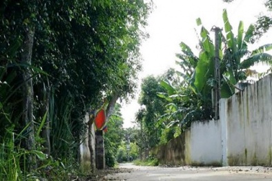 Nữ sinh lớp 6 bị 4 kẻ lạ mặt đâm kim tiêm trên đường đi học về