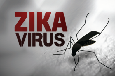 Virus Zika tấn công gần 70 quốc gia, Bộ Y tế họp khẩn 