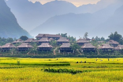 5 resort hạng sang gần Hà Nội ‘làm bạn’ với những cánh đồng