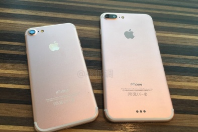 iPhone 7 và iPhone 7 Plus sẽ được ra mắt qua livestreaming