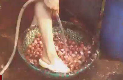 Khiếp đảm công nghệ chế biến hành phi từ hành tây thối, khoai tây mọc mầm