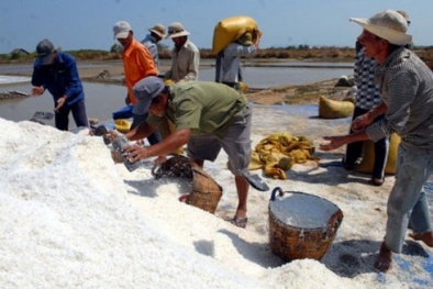 9 doanh nghiệp đăng ký mua 95.000 tấn muối cho diêm dân huyện Cần Giờ