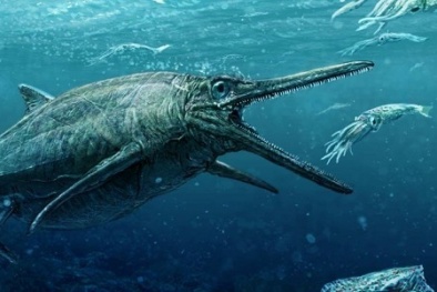 Hóa thạch quái vật biển nằm trong quan tài đá suốt 170 triệu năm