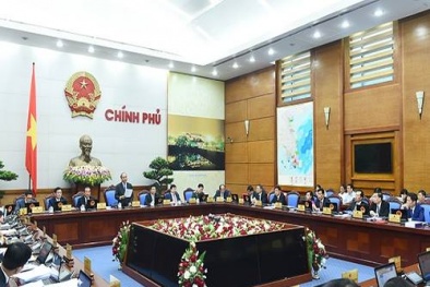 Bộ Y tế phải sớm công bố mức độ an toàn của hải sản tại 4 tỉnh miền Trung