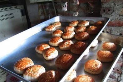 Hãi hùng hành phi từ khoai tây thối và bánh nướng bẩn siêu ‘hót’