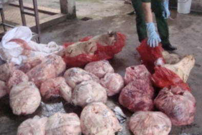 Gần 300kg thịt hôi thối, mốc meo suýt vào các quán ăn ở TP.HCM