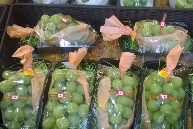 Nho xanh xách tay từ Nhật Bản 1,3 triệu/kg bà nội trợ tranh nhau mua