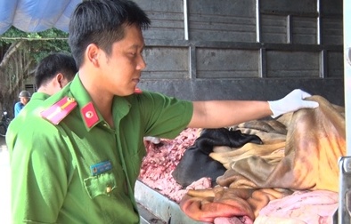 Gần 3 tạ da bò, mỡ bò không tem kiểm soát tuồn ra thị trường