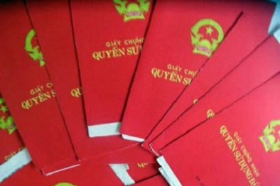 'Phù phép' ra hàng chục sổ đỏ để vay ngân hàng hơn 5 tỷ đồng