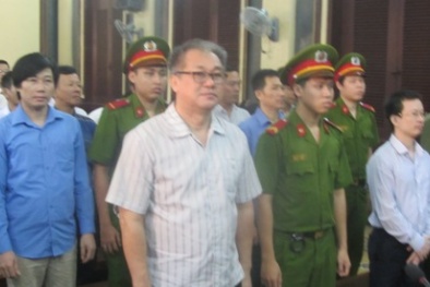 Đại án 9.000 tỷ: Phạm Công Danh nhận mức án 30 năm tù