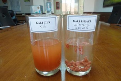 Phân bón giả, kém chất lượng do quản lý chồng chéo