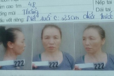 Phó Chủ tịch Hội Phụ nữ xã lừa đảo 6,5 tỷ đồng