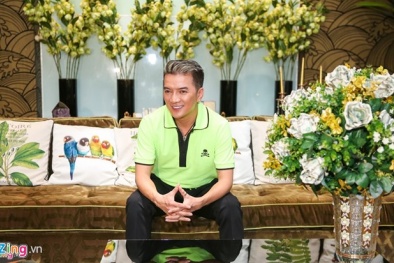 Mỹ Tâm sẽ không xuất hiện tại liveshow hơn 12 tỷ của Đàm Vĩnh Hưng