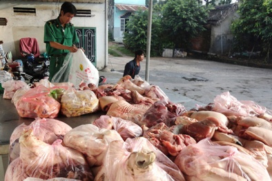 Hà Nội: Sắp có xe chuyên dụng kiểm tra mức độ an toàn thực phẩm