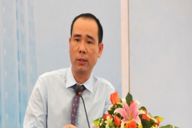 Nguyên Tổng giám đốc PVC Vũ Đức Thuận vừa bị bắt là ai?