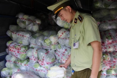 Xe tải chở rau Trung Quốc vào Nghệ An tiêu thụ không có giấy phép