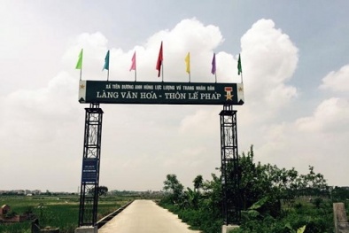 PTT Trương Hòa Bình yêu cầu làm rõ sai phạm đất đai tại huyện Đông Anh