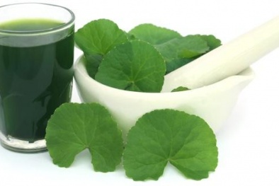 Gặp họa nếu lạm dụng các loại rau xanh quen thuộc 