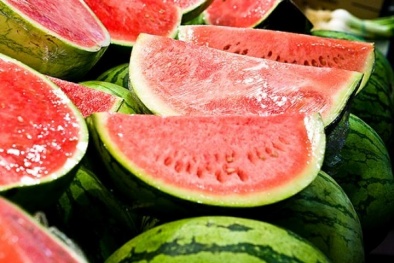 Kỹ thuật trồng cây dưa hấu không hạt cho lợi nhuận cao 