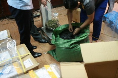 Tạm giữ 82,5kg lá thảo mộc nghi là ma túy qua đường bưu chính