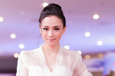 Hoa hậu Trương Hồ Phương Nga đã từng có một vẻ đẹp vạn người mê