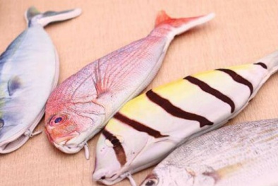 ‘Săn’ túi hình cá đựng bút độc lạ…ngậm quả đắng