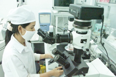 Sửa đổi luật để kết nối doanh nghiệp với Khoa học và Công nghệ