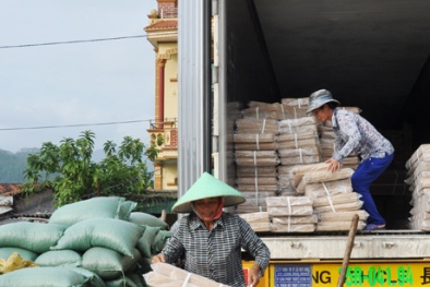 Hà Nội: Sau giúp việc, xuất hiện công ty cung cấp cửu vạn chuyên nghiệp