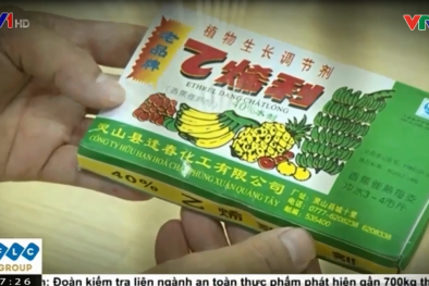 Giải mã chất làm trái cây mau chín, tươi lâu