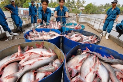 Tin tức thị trường 27/9/2016: 4 ngân hàng giảm lãi suất huy động