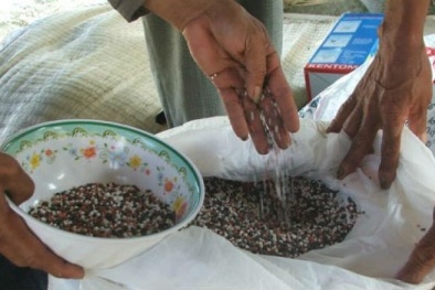 Từ thực phẩm kém chất lượng... đến phân bón cũng hàng giả