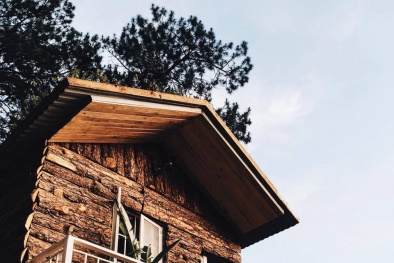 Khám phá homestay đẹp như mơ cho chuyến du lịch Đà Lạt vào mùa thu