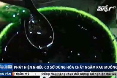 Rợn người chứng kiến cảnh dùng hóa chất ngâm rau muống