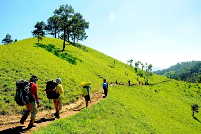 Cung đường trekking đẹp nhất Việt Nam 'hớp hồn' phượt thủ 