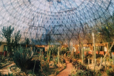 Trải nghiệm vô cùng mới mẻ với nhà kính xương rồng ở Ba Vì