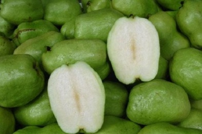 Kỹ thuật trồng và chăm sóc ổi không hạt