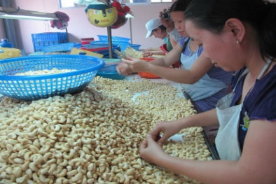 Bản tin tiêu dùng 2/10: Tiêu hủy hơn 1 tấn trái cây không xuất xứ