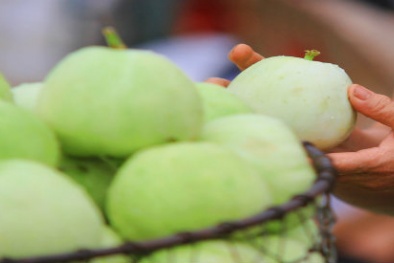 Dưa lê trái mùa 35.000 đồng/kg hút khách 'ầm ầm' ở Hà Nội 