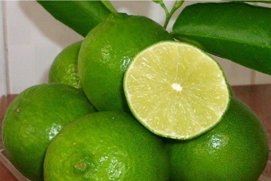 Kỹ thuật trồng chanh tứ quý ra nhiều quả