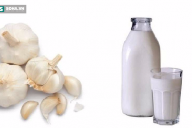 Tác dụng kỳ diệu của sữa tỏi mà bạn chưa biết?