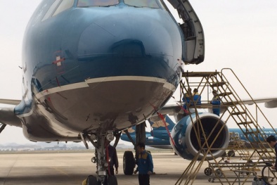 Chim trời làm hỏng hai tàu bay hiện đại nhất của Vietnam Airlines