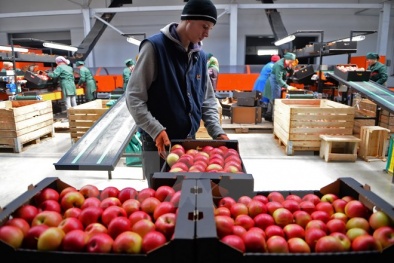 Biểu thuế nhập khẩu ưu đãi đặc biệt Việt Nam và Liên minh Kinh tế Á - Âu