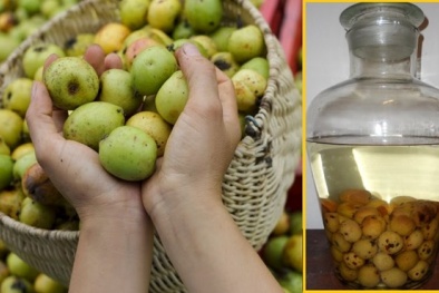 Cách chọn táo mèo ‘xịn’ chuẩn nhất