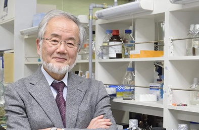  Nhà khoa học Nhật Bản nhận giải Nobel Y học 2016  