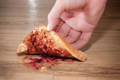 Thức ăn rơi có thể nhiễm khuẩn lây bệnh ngay lập tức đừng tiếc nhặt lại ăn